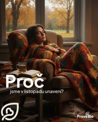 V listopadu většina z nás pociťuje pokles energie, horší náladu a větší únavu. Nejde o náhodu – tělo reaguje na změny...